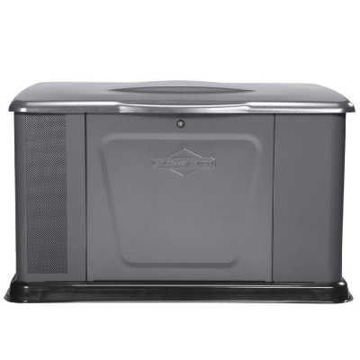 Briggs&Stratton G110